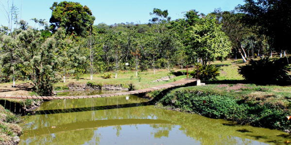 Pesca de tilapias en la laguna